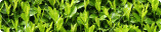 Hedge Units