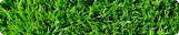 Turf