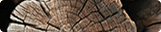 Sustainable Logs