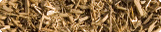 Bark