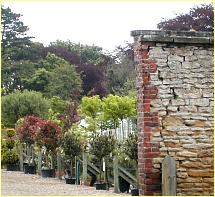 Vertech Plants Centre - entrance