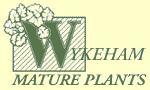 Wykeham mature trees and shrubs