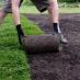Turf
