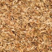 Bark (Bark)