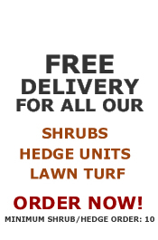 Free shipping on shrubs, hedge units & lawn turf